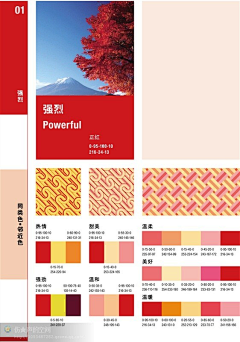 OLIVE9221采集到色彩搭配