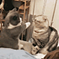 20190727135143_qkuxy
