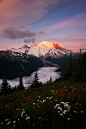 Mt. Rainier, Washington