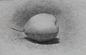 素描静物 <wbr> <wbr>水果与花