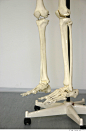 Skeleton_0045