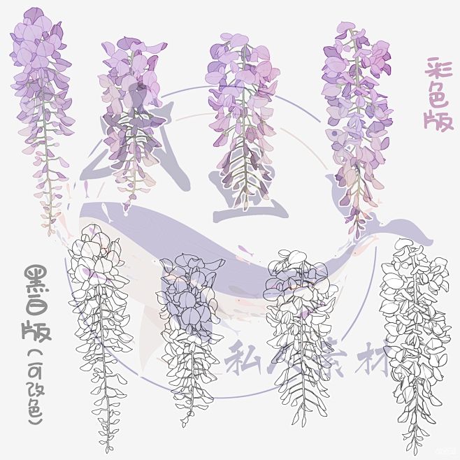 紫藤花 - 优动漫 动漫创作支援平台