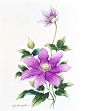 Gallery.ru / Фото #15 - Орхидеи и другие акварельные цветы Ibaragi Yoshiyuki - Anneta2012: 
