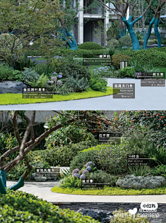 景观达达采集到绿化