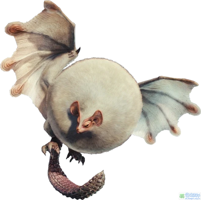 800px-MHW-Paolumu_Render_001.png (596 KB,800*798)-花瓣网