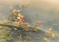 水彩---叶子 - 高清图片，堆糖，美图壁纸兴趣社区