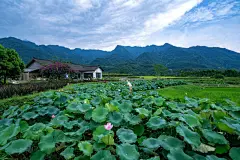 峨眉·高桥小镇，四川/植根大地的恋歌-55