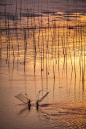 "Sunrise in XiaPu" by Photographer Ken Koselka taken at Bei Qi in XiaPu, China.