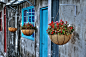 Hanging baskets by Trevor Mills on 500px