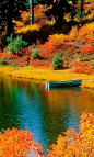 **A Boat on a Peace Lake, New Hampshire 