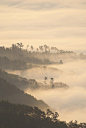 Sea of clouds, Takahashi, Okayama, Japan