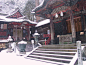 #绘画参考# #场景素材# 雪景 ​​​​