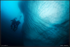 福福酱采集到antarctic·beauty