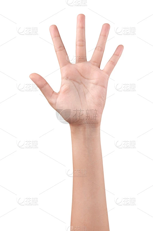 女人,数字5,手指,左撇子,垂直画幅,正面视角,留白,四肢,举起手,你好素材-花瓣网