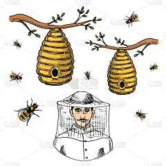 养蜂场农场媒介手绘由蜜蜂制作的农夫养蜂人插画自然产品