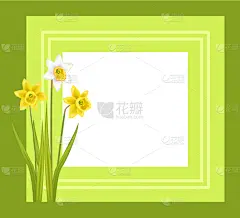 手指框,水仙花,贺卡,清新,植物群,春天,植物,问候,花,生长