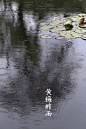 1、【中国节气：芒种】—— 黄梅时雨//
黄梅时雨，莲荷幽栖。伯劳始鸣，饯送花神。暑微顾影，斜阳斑驳。庭下井凉，青梅煮酒，微醺香梦。《月令七十二侯集解》中说：五月节，谓有芒之种谷可稼种矣。