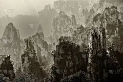 《阿凡达》的黑白风景。