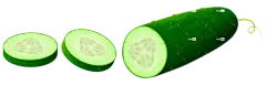 黄瓜片蔬菜png免抠图片素材