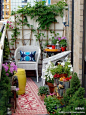 麦考林：弄一个小阳台花园，很美，很舒服~