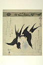 Totoya Hokkei, Japanese ( 1780 - 1850).  Pair Of Swallows, From The Series A Collection Of Thirty-Six Birds And Animals (Sanjûroku Tori Zukushi)