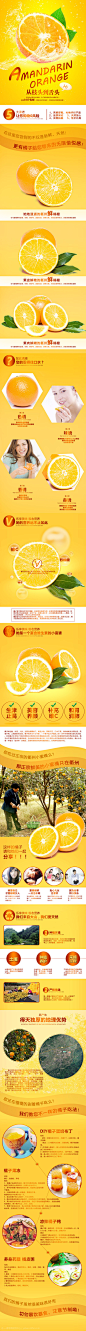 橘子类的描述，详情页，设计，联系QQ613630362