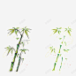 植物竹子矢量图 创意素材