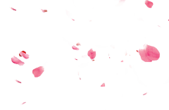 亦笙OLOL采集到png