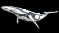 科幻鲸鱼3D模型
