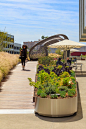洛杉矶Cedars-Sinai医疗中心屋顶花园 / AHBE Landscape Architects : 城市绿洲