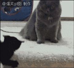 走开，别烦我