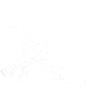 真