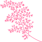 HATSUMO PATTERN