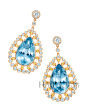 蒂芙尼 (Tiffany & Co.) 2014年Blue Book高级珠宝系列珠宝
耳环