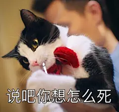 QQ截图20170417131901