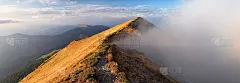 秋天的风景。山的风景。全景。多雾的早晨。自然景观。阳光明媚的一天。草坪上长着橙色的草。秋天的壁纸背景