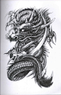 Dragon Tattoo Diseno