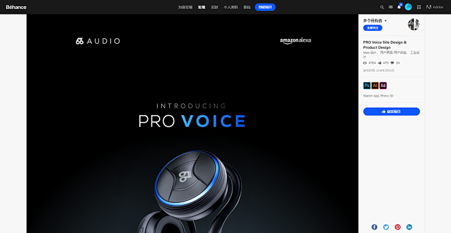 PRO Voice Site Desig...