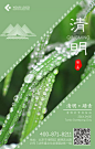绿色传统节日节气清明节手机海报