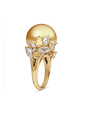 Golden South Sea and Yellow Diamond Ring Mikimoto  17mm Golden South Sea and 4.63ct of diamonds in 18k yellow gold.