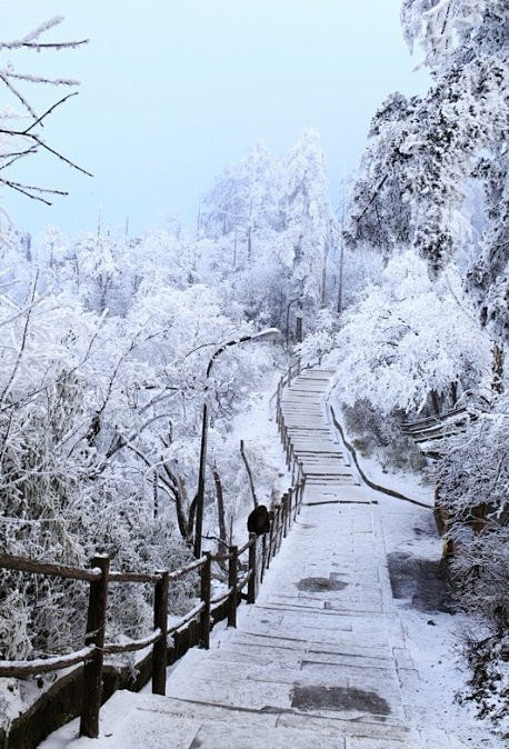 峨眉山雪景


　　你是千堆雪
　　我是...