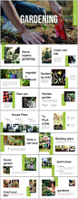 农产品推广ppt-农产品,推广,ppt,模版,通用
