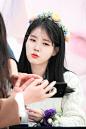 IU