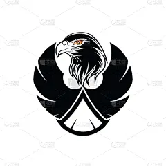 鹰,翅膀,华丽的,老鹰,模板,动物,复古