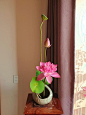 (95) Pinterest
