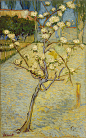 638px-Vincent_van_Gogh_-_Bloeiend_perenboompje_-_Google_Art_Project.jpg (638×1023)