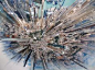 Sachigusa Yasuda reworks photos of cityscapes to produce 360° views from above.