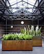 Planterworx Rectangular Planter Box | AllModern