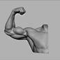 Arm Study, Luc Tschopp : An Arm Assignment I did while taking an 8-week Mentorship with Glauco Longhi. I learned a lot doing this one and am very grateful for all of Glauco's great feedback, who really helped me push myself to the next level.