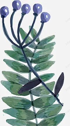 水彩风格手绘薰衣草高清素材 免费下载 页面网页 平面电商 创意素材 png素材